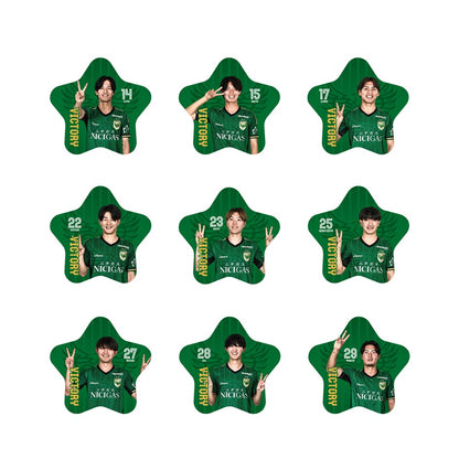 【勝利時限定】明治安田J1百年構想リーグ シークレットVICTORY缶バッジ