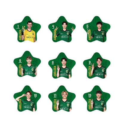 【勝利時限定】明治安田J1百年構想リーグ シークレットVICTORY缶バッジ