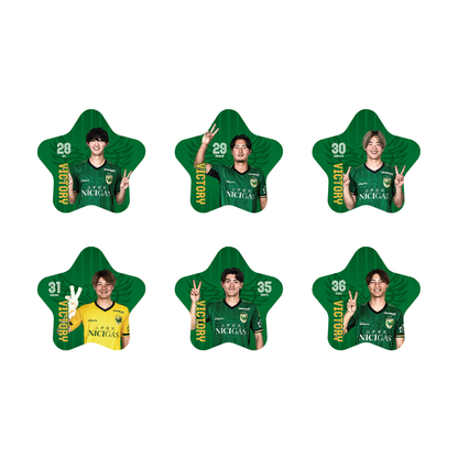 【勝利時限定】明治安田J1百年構想リーグ シークレットVICTORY缶バッジ