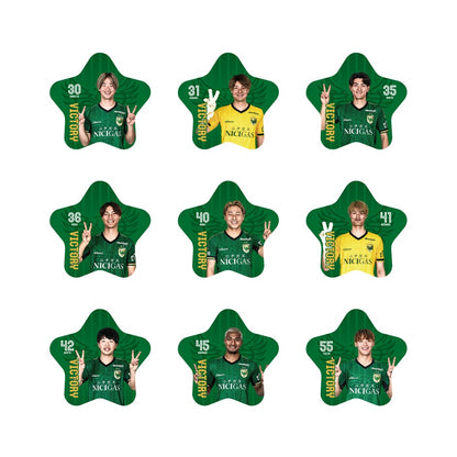 【勝利時限定】明治安田J1百年構想リーグ シークレットVICTORY缶バッジ