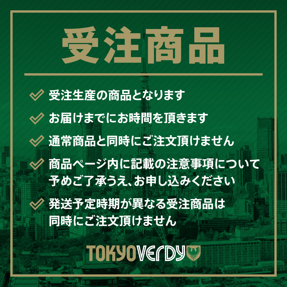 東京ヴェルディ2025シーズンレプリカユニフォーム（半袖）FP2nd【受注商品】